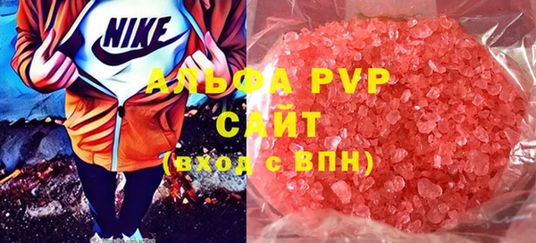 стафф Гусев