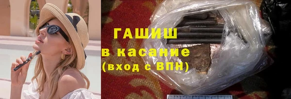 стафф Гусев