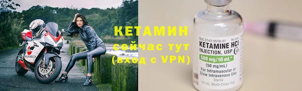 стафф Гусев