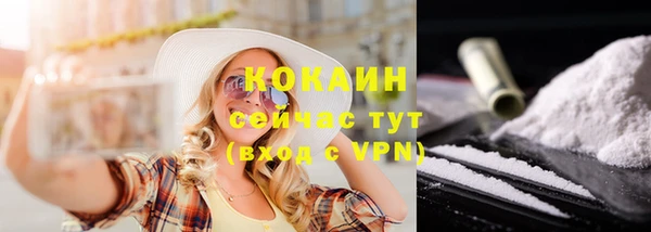 стафф Гусев