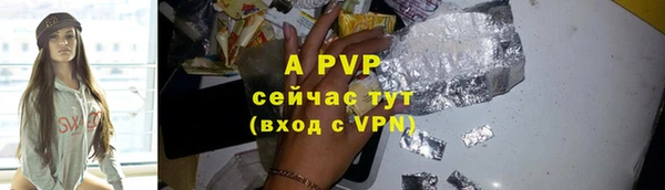 стафф Гусев
