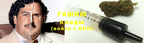 стафф Гусев