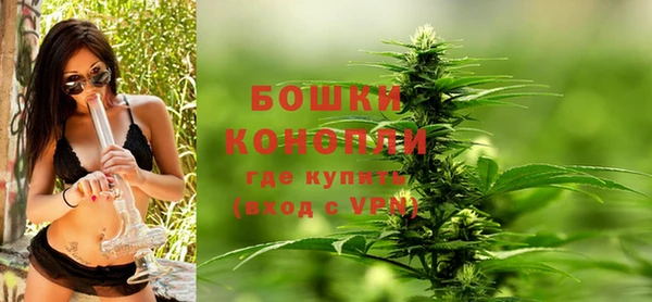 винт Гусиноозёрск