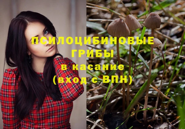стафф Гусев