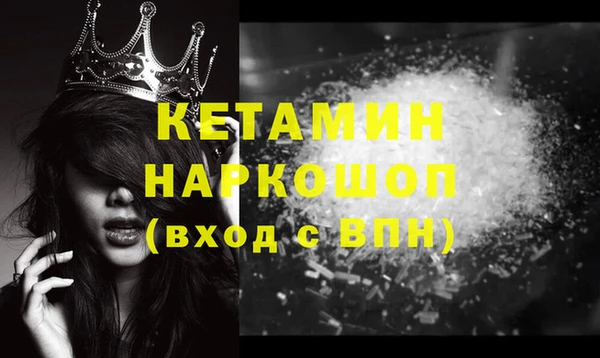стафф Гусев