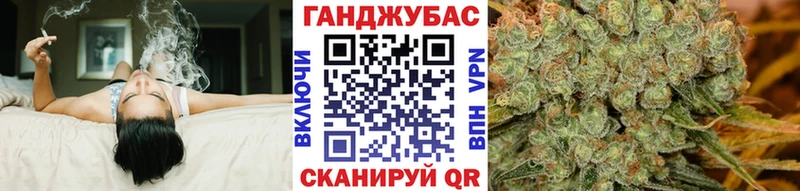 как найти закладки  Ачинск  Конопля ГИДРОПОН 